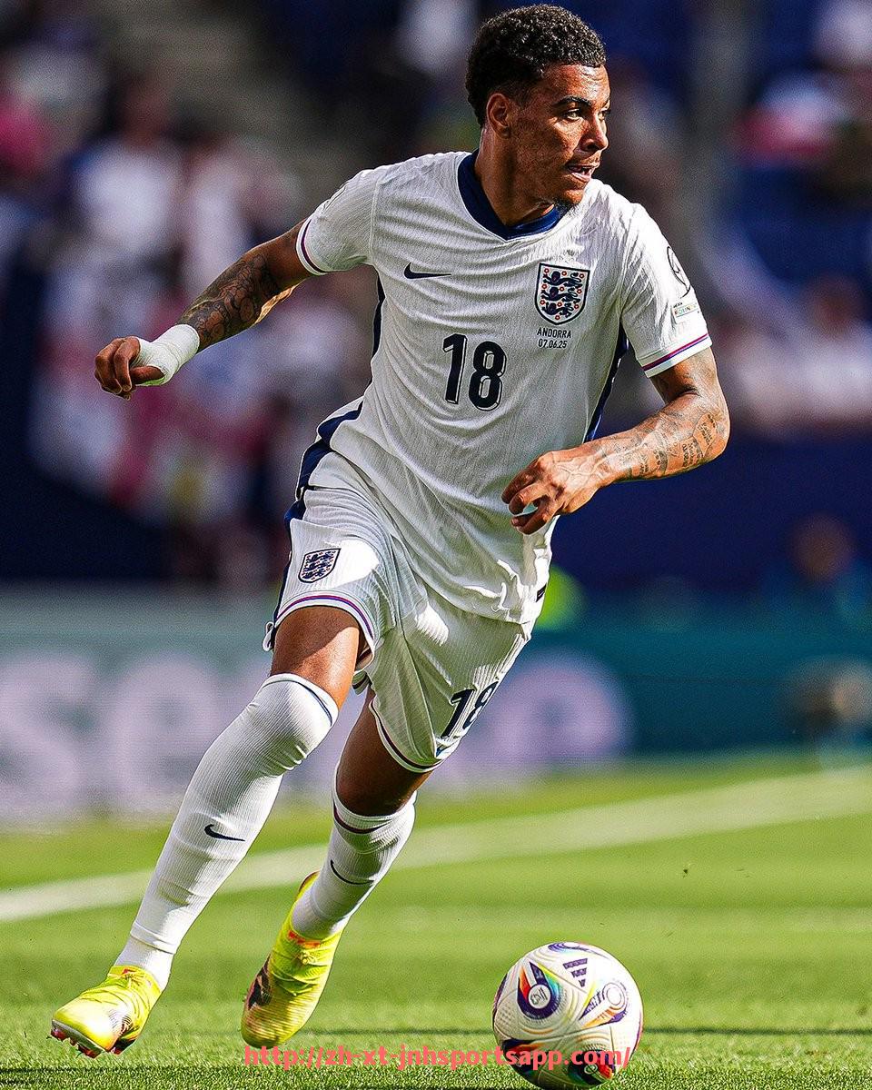 金年会app-法甲球员中是否有人得过金球奖