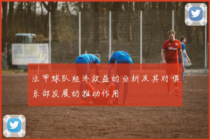 法甲球队经济效益的分析及其对俱乐部发展的推动作用